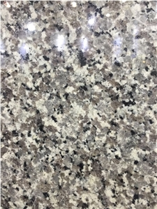 Swan White Granite Tile Size 60x60 Polished Low Price
