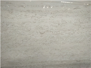 Fossil Grey Marble Slab &Tiles,Grey Chinese Marble Floor Covering,Wall Covering,Marble House Decoration
