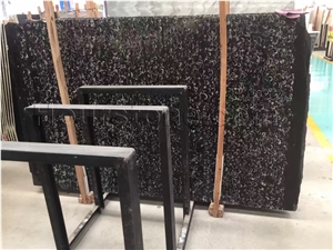 Natural Flower Forest,Best Selling Polished Black Fossil Marble Slab,China Black Fossil Marble Tiles Honed for Outdoor Entrance