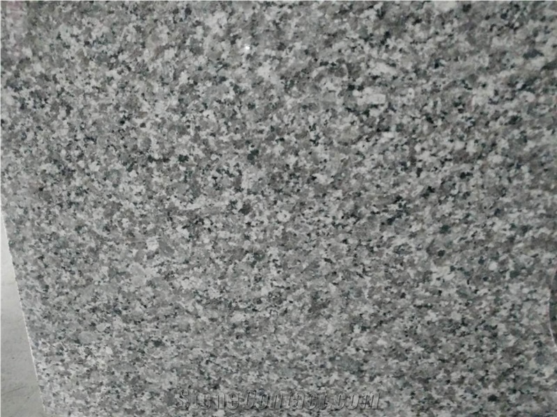 Swan Grey Granite Slab Tile for Floor Wall, Chinese Swan White