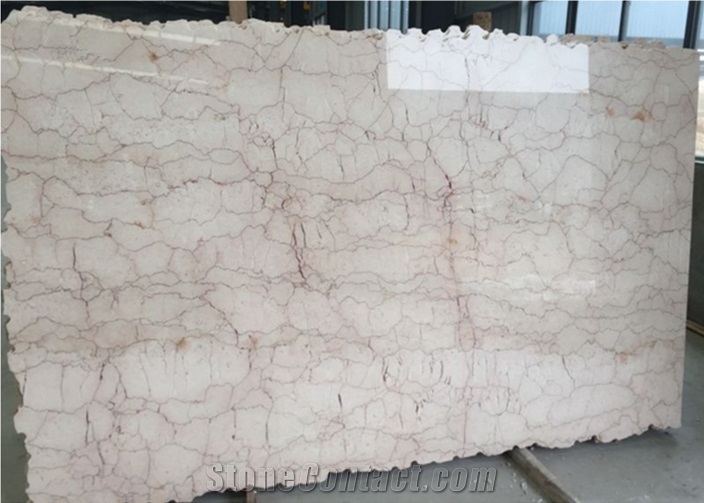 Shell Beige Polished Marble Slab, Marble for Bathroom and Kicthen Background, Floor and Wall Tile, Marble for Fountain