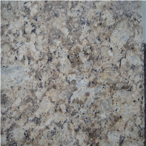 Natural Beige Granite Slabs and Tiles Barzil Beige Granite