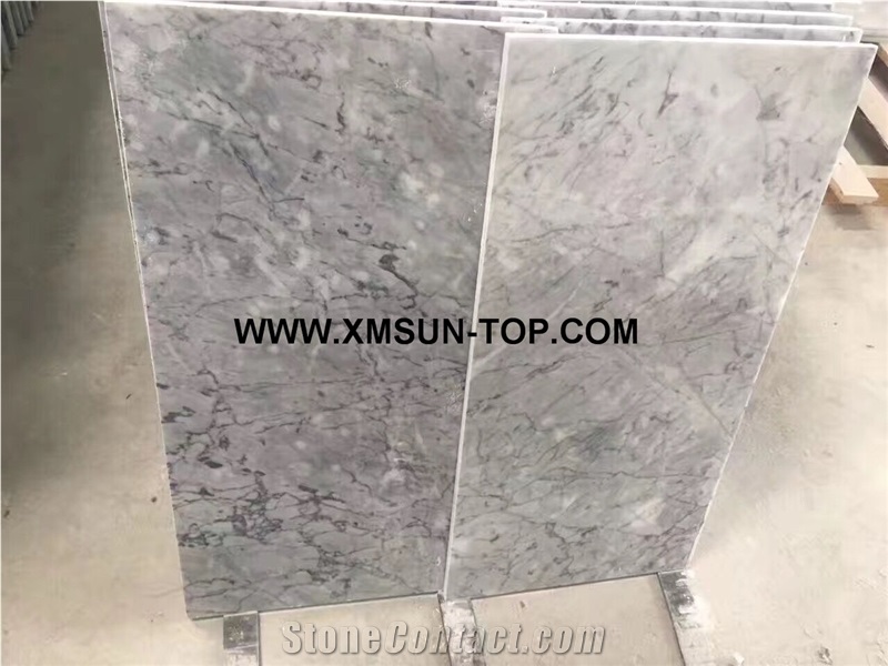 Polished Prague Grey Marble Tiles/ China Grey Marble Cut to Size/Grey Marble Floor Tiles/Grey Marble Wall Tiles/China Marble Wall Covering Tiles/Light Grey Marble Floor Covering Tiles/Interior Pavers