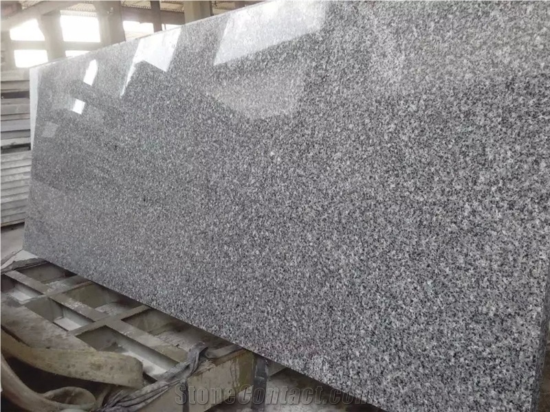 Grey Big Slab Granite, Polished Surface Finished, Tong an Bai,Tongan Bai,Tongan White,White Flower,White Of Tongan, G655 Granite Tile