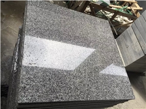Polished G655 Granite Tile(Low Price)/Chinese White Grey Granite Stone/Silver Grey Tile/ Own Factory Cheapest Color/ China Natural Granite Stone for Wall Cladding, Flooring Paving Tile/Polished Tile