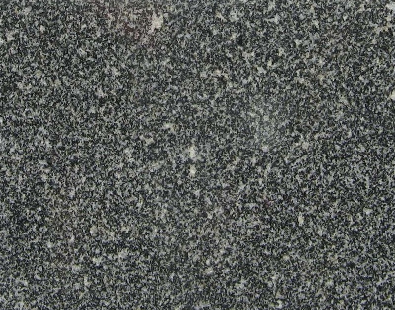 Snow Black Granite Slabs & Tiles, Grey Granite Floor Tiles