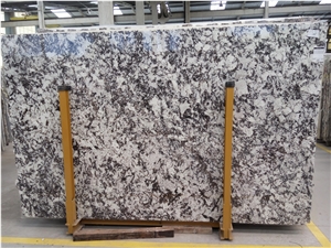 New Material White Orion Granite Slabs/ Brazil White Transparent Granite/ Brazil White Granite/ Brazil Orion White for Countertops/ Brazil White Orion for Tiles and Projects
