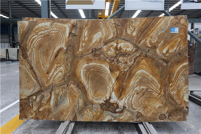 Palomino Stone Wood Quartzite Yellow Brazil Slabs Tiles