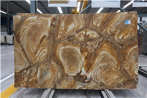 Palomino，Stone Wood Quartzite/Yellow/Brazil Slabs & Tiles/Countertops, Mosaic, Exterior - Interior Wall and Floor Applications