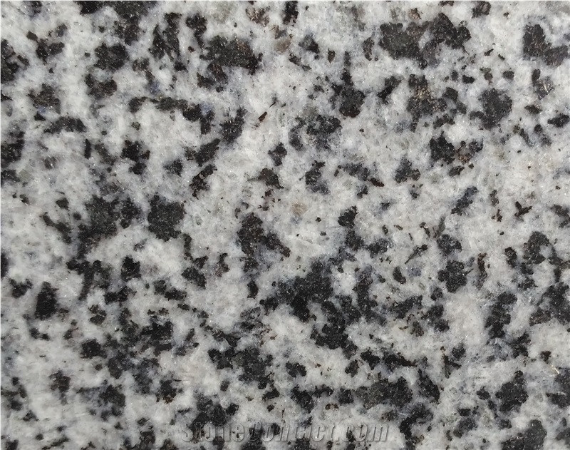 Anh Dong White Granite Slabs/ Tiles