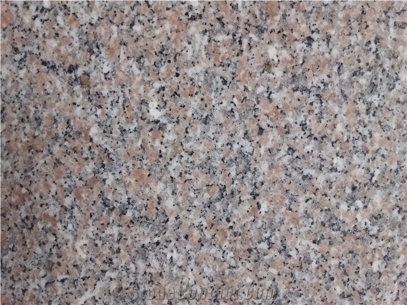 Gia Lai Pink Granite Slabs/ Tiles