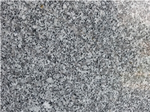 Phu My White Granite Slabs/ Tiles