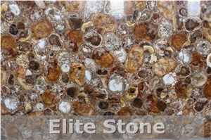 Petrified Wood Semi Precious Stone Slabs and Tiles for Interior Wall and Floor