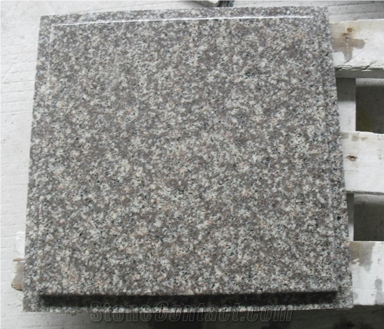 G664 China Granite for Building the Different Building Meterial