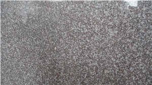 G664 Granite Big Slabs Polished