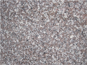 G664 Granite Half Slabs Polished Brown Stone