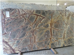 Best Quality Rainforest Brown Marble, India Brown Marble Floor Covering Tiles, Bidasar Gold