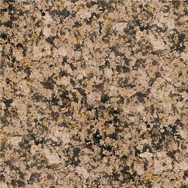 Latest Desert Brown Granite Slabs