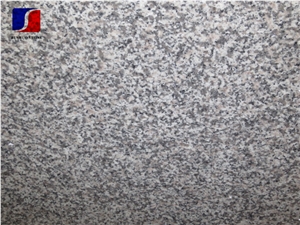 G623 China Rosa Beta,China Bianco Sardo Granite for Floor Covering/Rose Beta Granite for Wall Cladding&Wall Covering/White Flower Granite Panel/Grigio Sardo Granite Slab