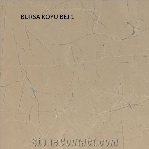 Akhisar Beige Marble Tiles & Slabs