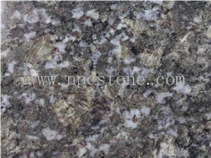 Chinese Butterfly Blue Granite Slab Tiles for Countertop