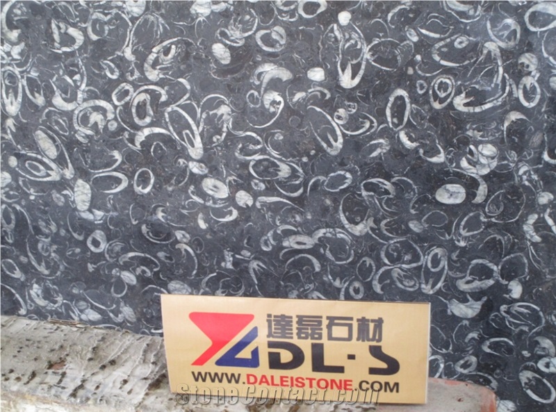 China New Black White Marble Slab Price,Sea Shell Marble Cheaper Flooring Covering Tiles ,Marble Tiles&Slab,Marble Table,Building Wall Stone ,Interior Pattern,Clading
