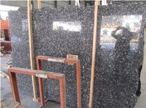 China New Black White Marble Slab Price,Sea Shell Marble Cheaper Flooring Covering Tiles ,Marble Tiles&Slab,Marble Table,Building Wall Stone ,Interior Pattern,Clading