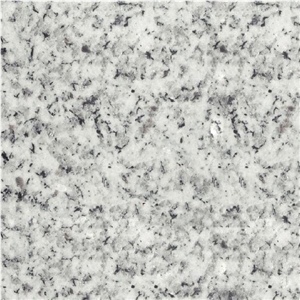 Bianco Argento Granite Slabs & Tiles, Russian Federation White Granite