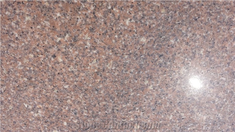 G648 Zhangpu Red Granite Big Size Slabs
