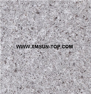 Light Grey Quartz Stone Slabs&Tiles&Customized/Pale Grey Engineered Stone/Grey Artificial Quartz/Manmade Stone/China Quartz Stone for Flooring&Wall Covering/Mystery Universe Engineered Quartz/Bl6131