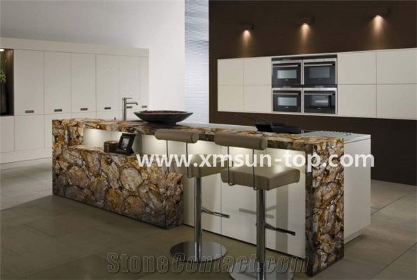 Petrified Wood Semi Precious Stone Kitchen Counter Top Semi