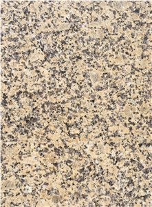 Yellow Rust Granite / Granite Wall Tiles /Golden Yellow Granite / Yellow Rust Granite Stone Tiles
