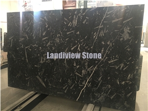 Fossil Black Slabs and Tiles, Natural Marble Slabs