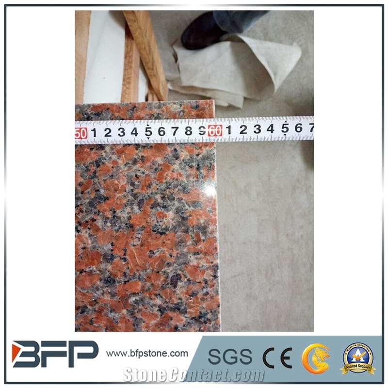 Maple Red Dark Granite&Maple-Leave Red Popular Chinese Granite Color G562 Granite for Wall Floor Tiles and Stairs,Countertop Use.
