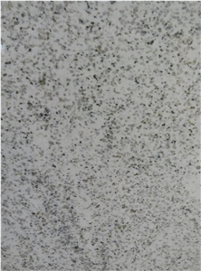 Cotton Motion/White/Brazil/Polished/Wall,Floor