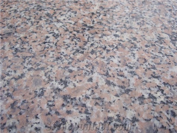 Cheap Natural Flamed/Polished Red Granite Stone for Fence
