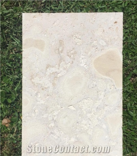 Dominican White Coral Stone Tiles