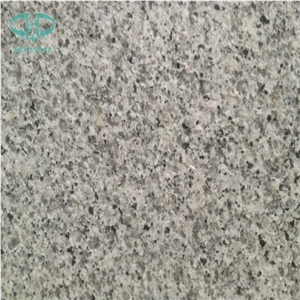 China G640 Bianco Sardo, G640 Bianco Sardo, China White Granite, G640 Granite Slabs & Tiles, White Black Flower Granite, Black Silver,Black Spot Gray Granite