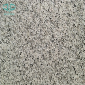 China Grey Granite, Bianco Sardo, G640 Bianco Sardo, China White Granite, G640 Granite Slabs & Tiles, White Black Flower Granite, Black Silver,Black Spot Gray Granite