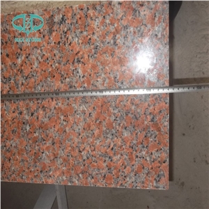 G562 Maple Red Polished Granite Slabs & Tile with Good Quality, China Red Granite