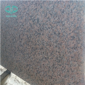 G562 Maple Red Polished Granite Slabs & Tile with Good Quality, China Red Granite