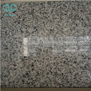 G640 Bianco Sardo, China White Granite, G640 Granite Slabs & Tiles, White Black Flower Granite, Black Silver,Black Spot Gray Granite