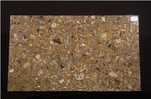 Caju Brown Granite Slabs
