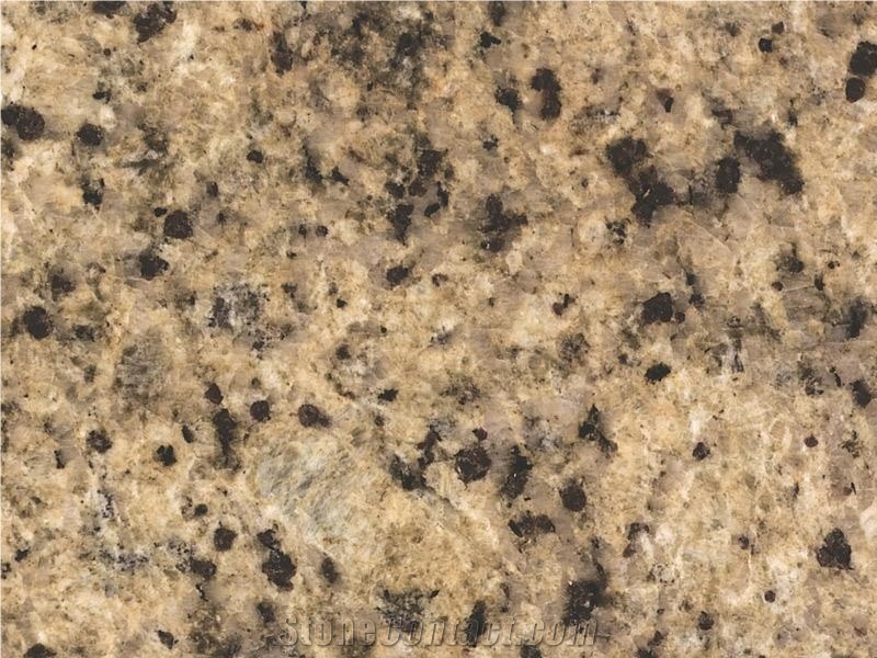 Giallo Imperial Granite Slabs