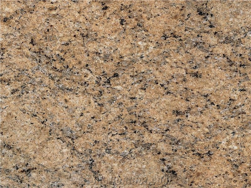 Giallo Veneciano Granite Slabs