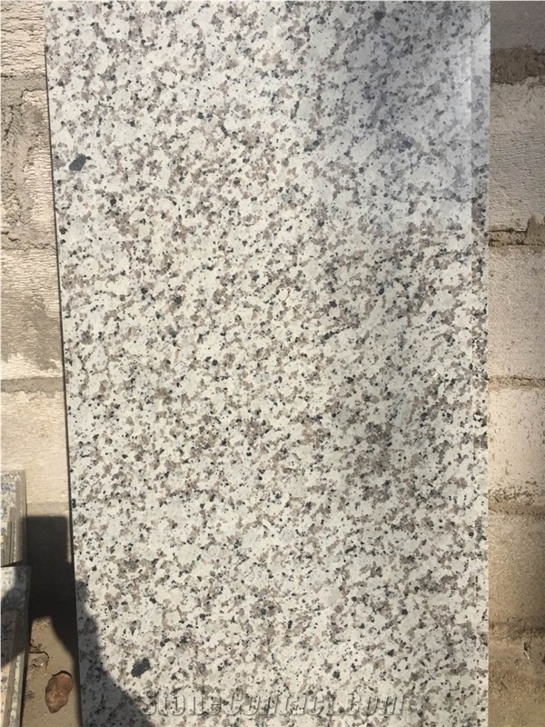 China White Granite Tile,Bianco Sardo,Ocean White, Light Grey Granite, Bala White Flower Granite,Tiles & Slabs,Floor Covering Tiles/Wall Covering Tiles/Paving Stone/Wall Stone/Building Stone