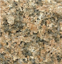 New Giallo Veneziano Granite Slabs