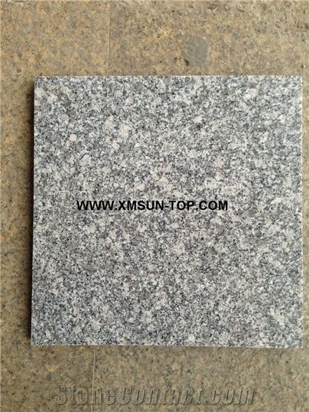 Polished Cristallo Grigio Granite Tile&Cut to Size&Square Paver/Chinese Sardinia Grey Granite Panel/Plum Blossom White Granite Floor Tile/G602 Granite Wall Tile/Mayflower Snow Granite/China Grey Sardo