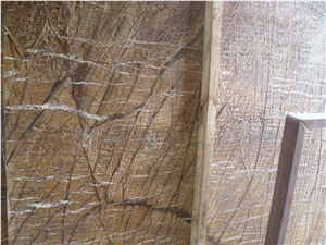 Good Price Tropical Rainforest Gold Polished Marble Slabs & Tiles