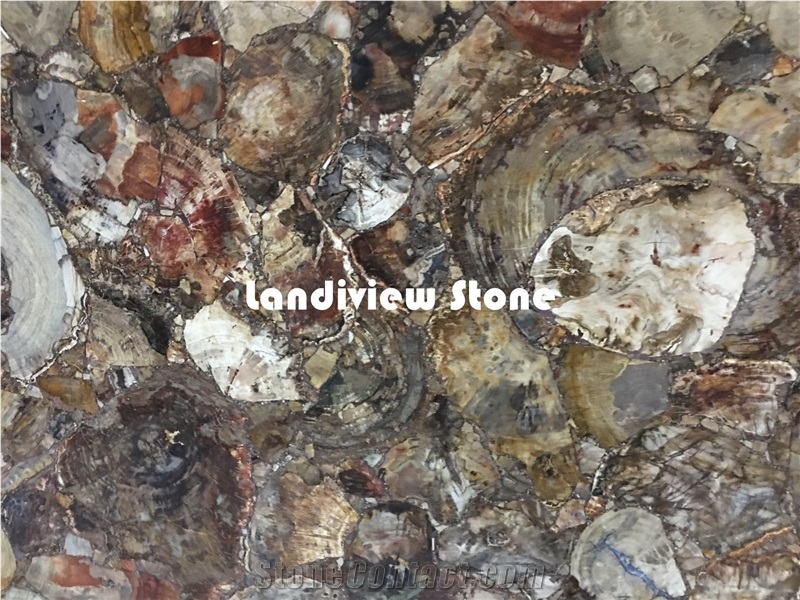 Brown Petrified Wood Slabs and Tiles, Semiprecious Stone Tiles and Slabs